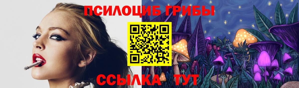 Галлюциногенные грибы Psilocybe  Галлюциногенные грибы Cubensis  Обь  Вход с VPN 