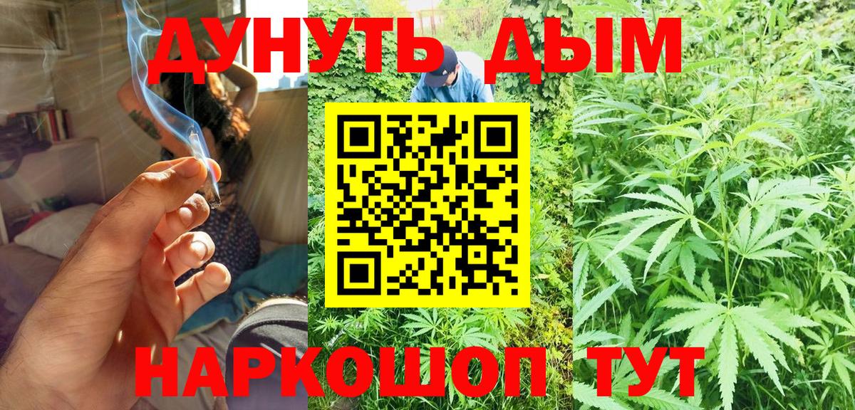 Каннабис сатива Обь
